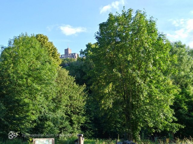 Urszulanki w Königstein